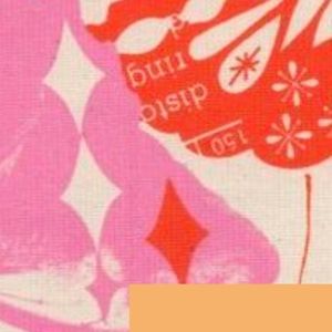 Meet your Posher, Ally